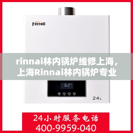 rinnai林内锅炉维修上海，上海Rinnai林内锅炉专业维修服务