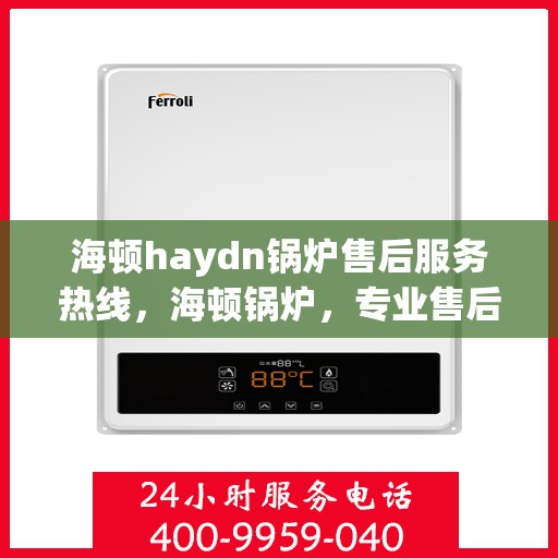 海顿haydn锅炉售后服务热线，海顿锅炉，专业售后服务热线，解决您的锅炉问题