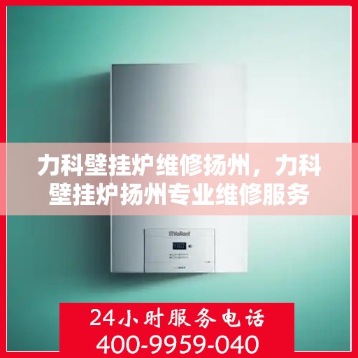 力科壁挂炉维修扬州，力科壁挂炉扬州专业维修服务