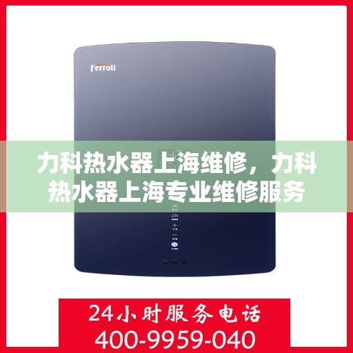 力科热水器上海维修，力科热水器上海专业维修服务