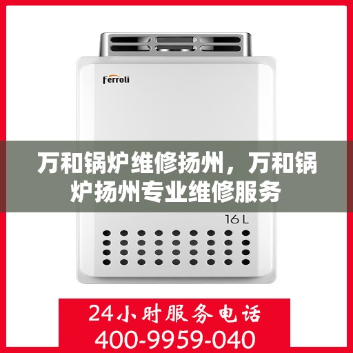 万和锅炉维修扬州，万和锅炉扬州专业维修服务