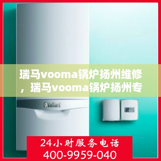 瑞马vooma锅炉扬州维修，瑞马vooma锅炉扬州专业维修服务