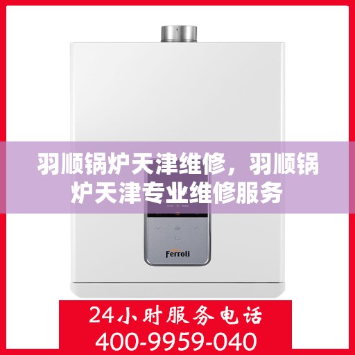 羽顺锅炉天津维修，羽顺锅炉天津专业维修服务